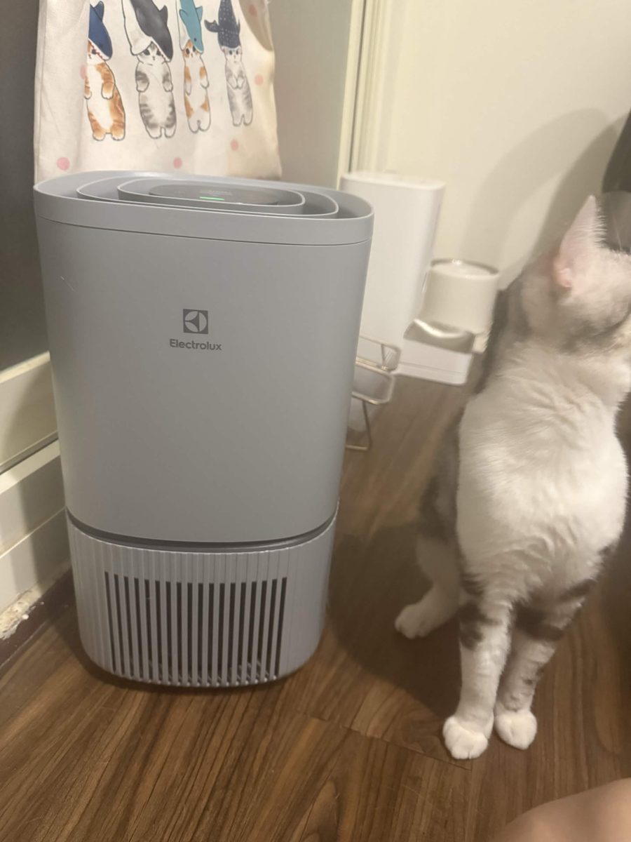 我家的 Electrolux 極適家居300，貓主子親自監工中。